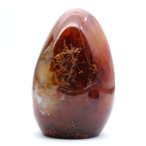 Authentic Polished Carnelian Ornament from Madagascar - Decorative and Collectible Mineral