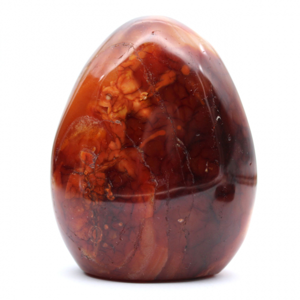 Polished Madagascar Carnelian - Natural Stone Ideal for Decoration and Collection (Ornament)