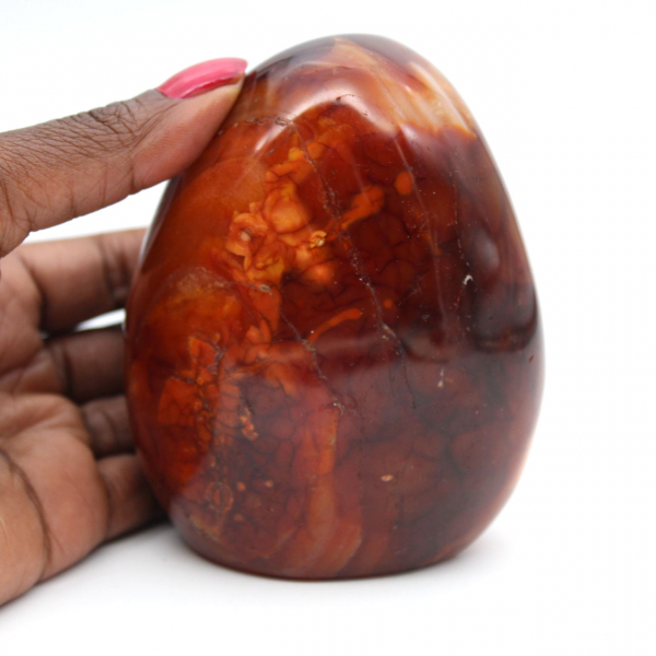Polished Madagascar Carnelian - Natural Stone Ideal for Decoration and Collection (Ornament)