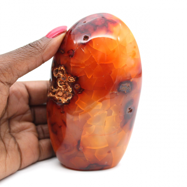 Polished Madagascar Carnelian - Decorative and Scientific Specimen (Natural Stone)