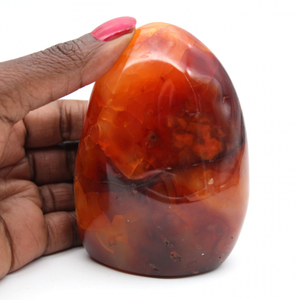 Polished Carnelian Natural Stone - Decorative Ornament for Collection (Madagascar)