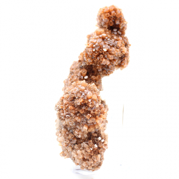 Specimen of crystallized aragonite from Morocco