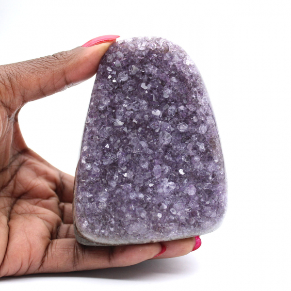 Amethyst Druse from Brazil: Authentic Collector's Specimen