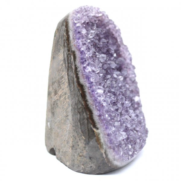 Amethyst Druse from Brazil: Authentic Collector's Specimen