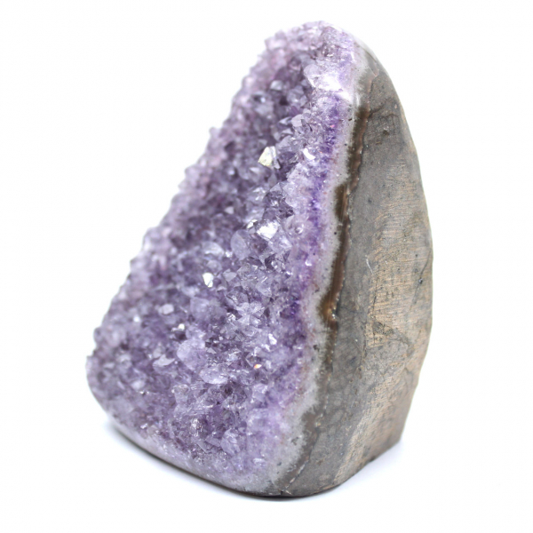 Amethyst Druse from Brazil: Authentic Collector's Specimen