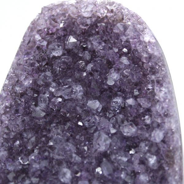Amethyst Druse from Brazil: Authentic Collector's Specimen