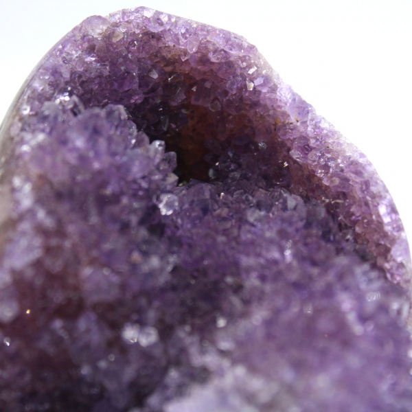Amethyst Druse from Brazil: Small, High-Quality Specimen