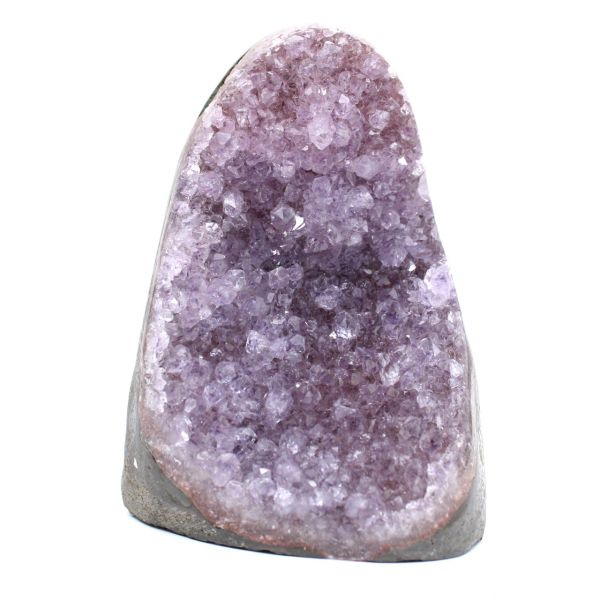 Brazilian Amethyst Druse – Specimen of Geological Strength
