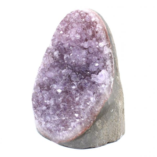 Brazilian Amethyst Druse – Specimen of Geological Strength