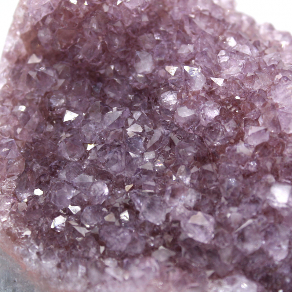 Energy Druse Amethyst – Natural Collector's Stone