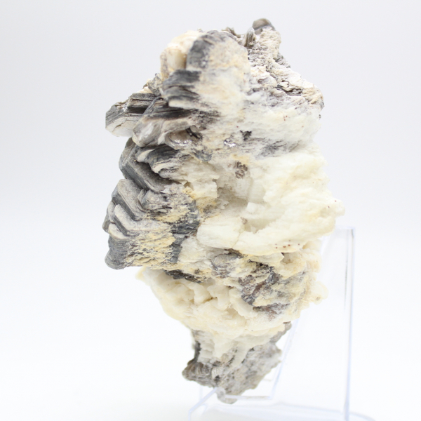Crystallized mica on white quartz from Afghanistan