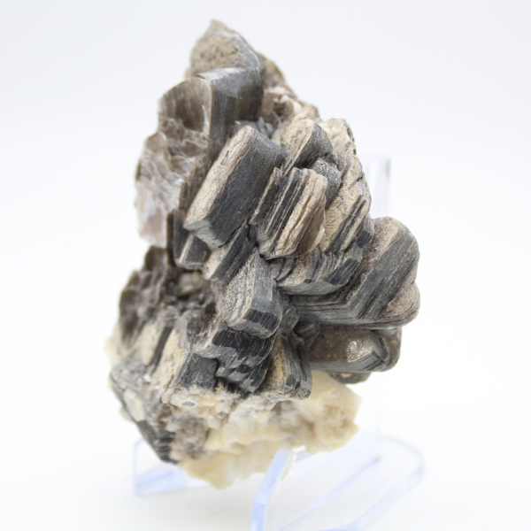 Mica and black tourmaline on quartz, Afghanistan