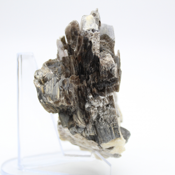 Mica and black tourmaline on quartz, Afghanistan