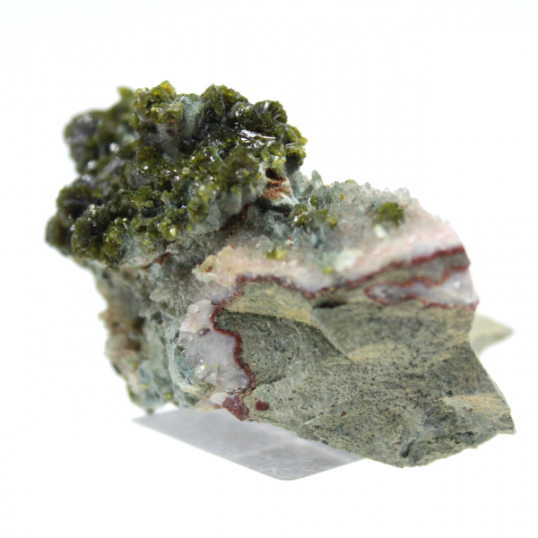 Moroccan epidote on beige matrix of origin