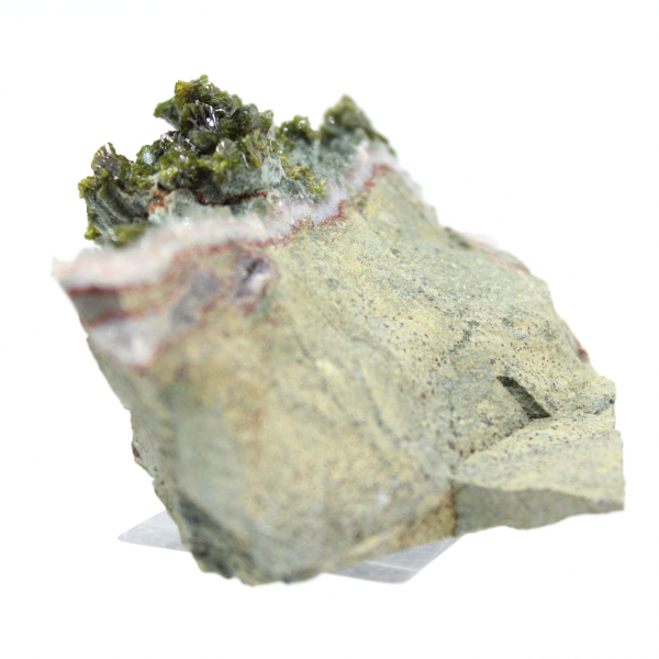 Moroccan epidote on beige matrix of origin