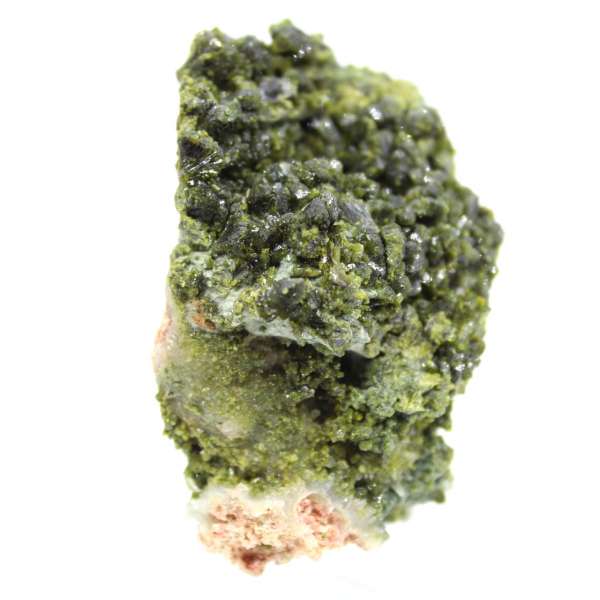 Specimen of Moroccan epidote on rock matrix