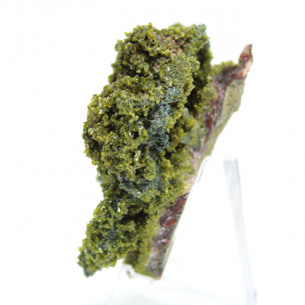 Moroccan epidote on clear matrix