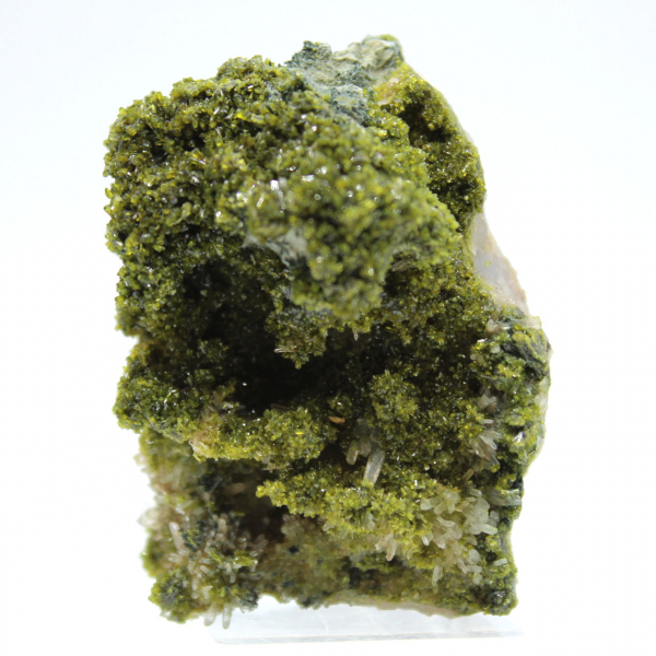 Imilchil epidote crystallized on host rock
