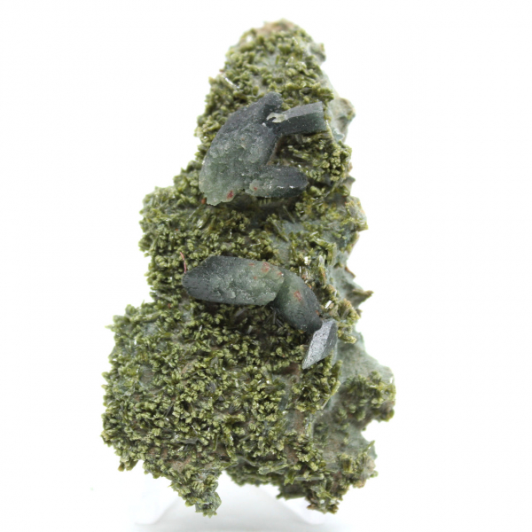 Imilchil epidote on clear matrix