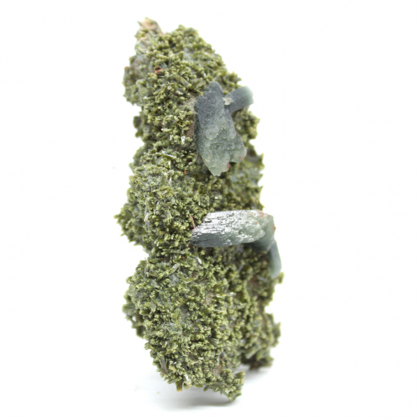 Imilchil epidote on clear matrix