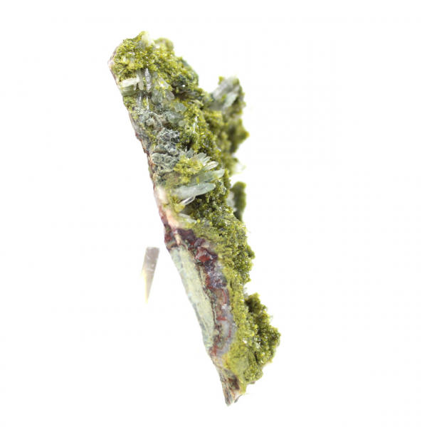 Moroccan epidote on beige matrix