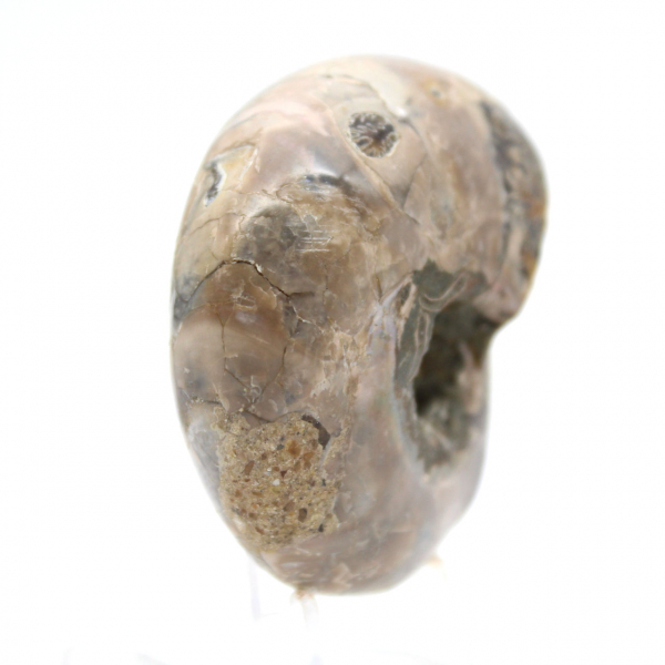 Polished Ammonite - Small Collector's Specimen from Madagascar (80g)