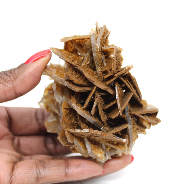 Small Moroccan brown baryta