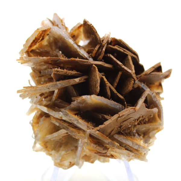 Small Moroccan brown baryta