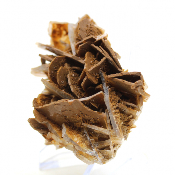 Small Moroccan brown baryta