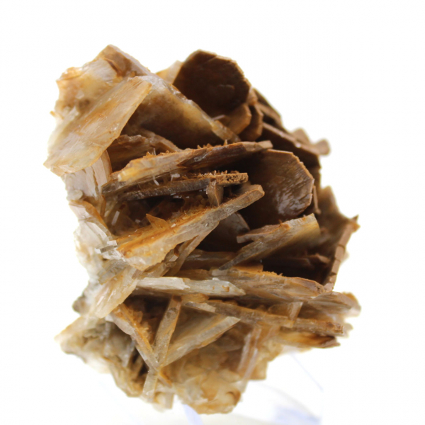 Small Moroccan brown baryta