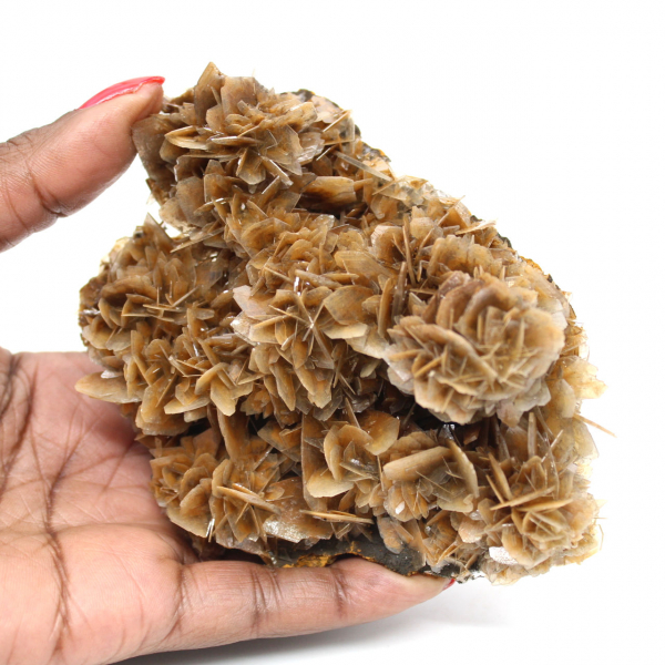 Translucent brown barite from Morocco