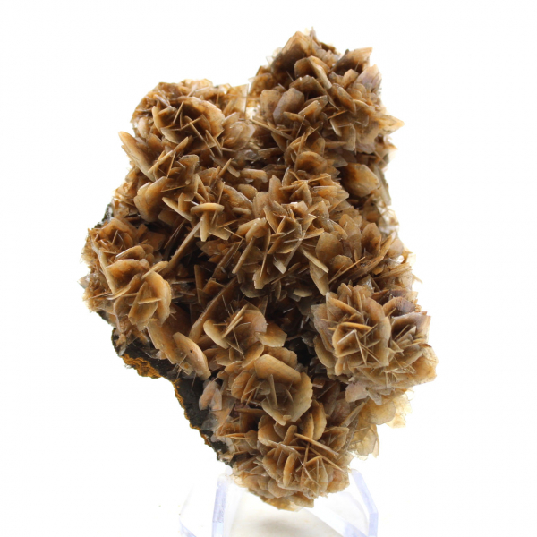 Translucent brown barite from Morocco