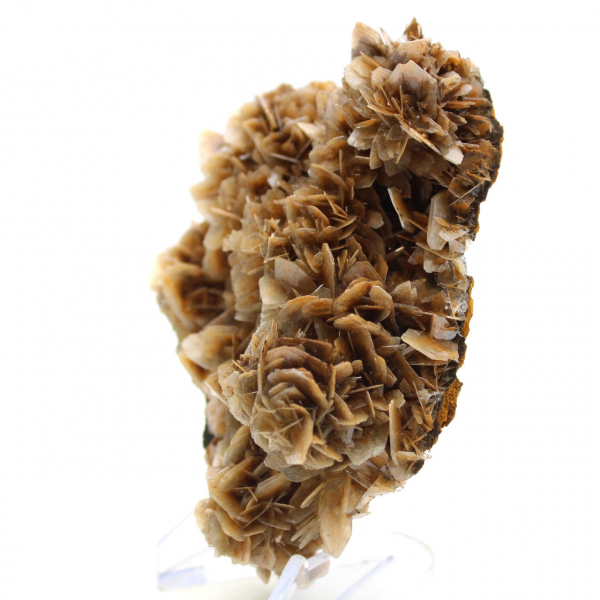 Translucent brown barite from Morocco