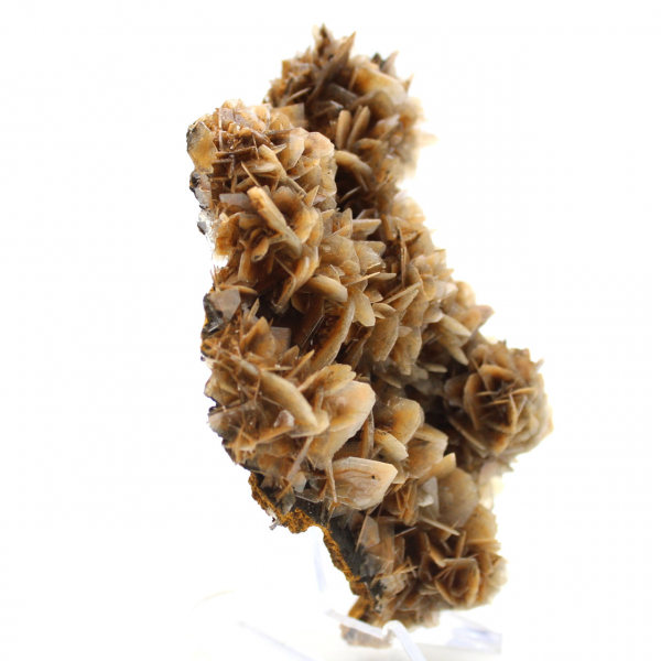 Translucent brown barite from Morocco