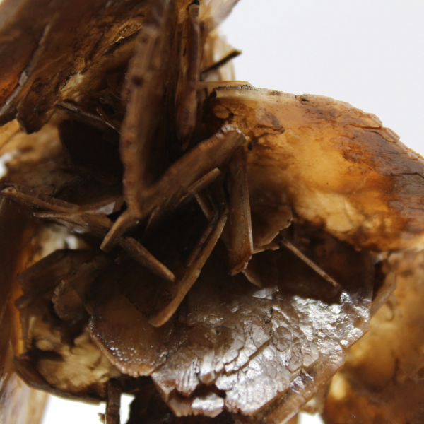 Microcrystals of Barite from Morocco