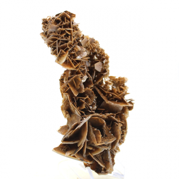 Golden crystals of Moroccan barite