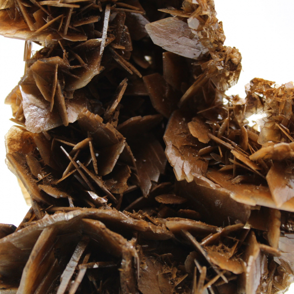 Golden crystals of Moroccan barite