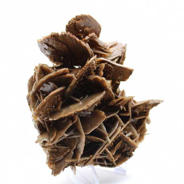 Crystallized brown barite from Morocco