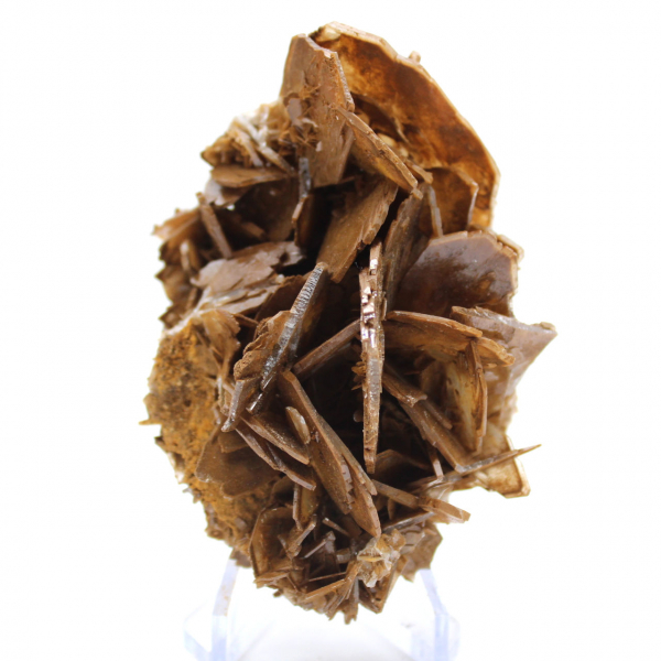 Brown crystallization of barite from Morocco