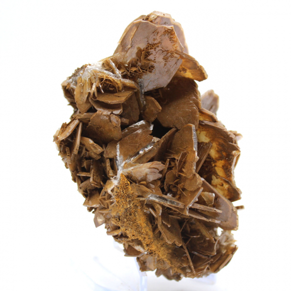 Brown crystallization of barite from Morocco