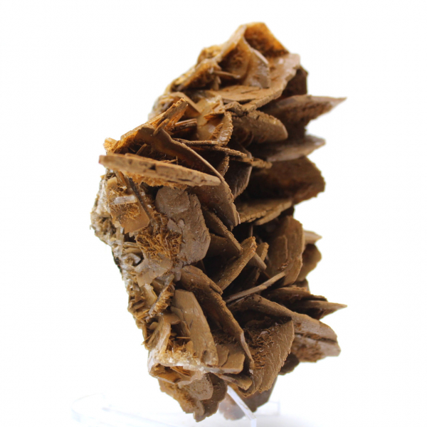 Mineralogical specimen of Barite from Morocco