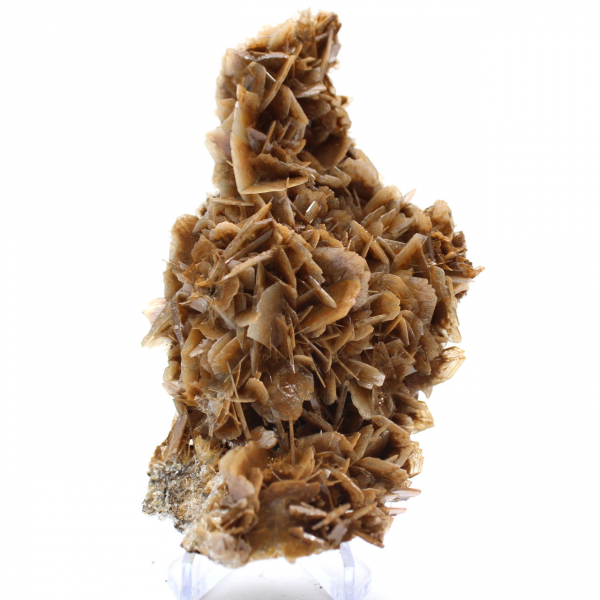 Moroccan barite coin with brown crystals