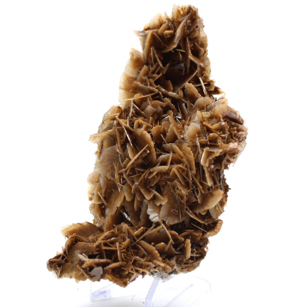 Moroccan barite coin with brown crystals