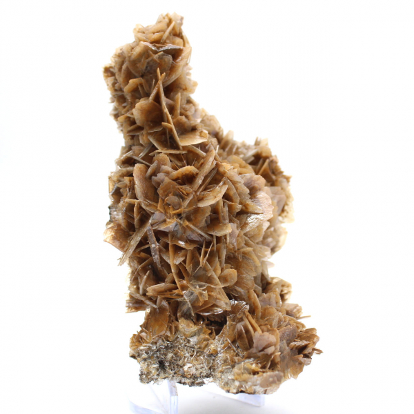 Moroccan barite coin with brown crystals