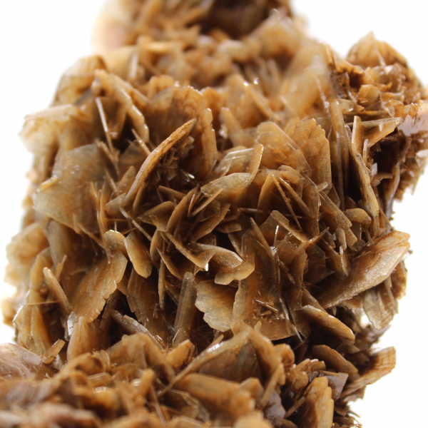 Moroccan barite coin with brown crystals