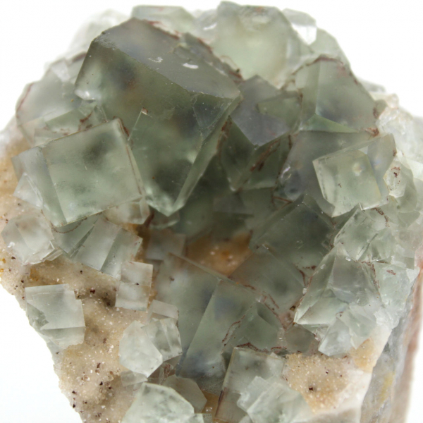Authentic green fluorite: Crystals on matrix from Morocco