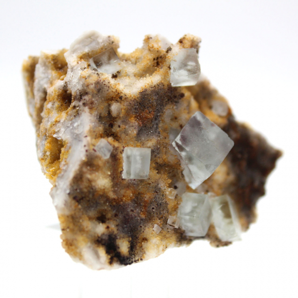 Collector's green fluorite: Small specimen on matrix