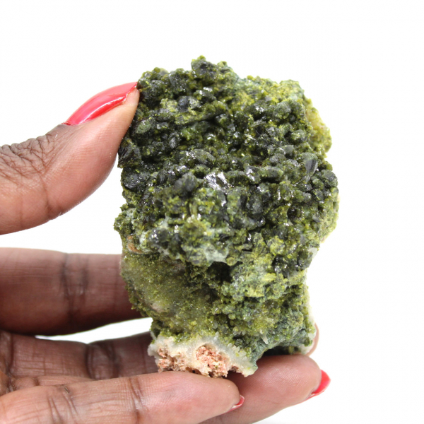 Specimen of Moroccan epidote on rock matrix
