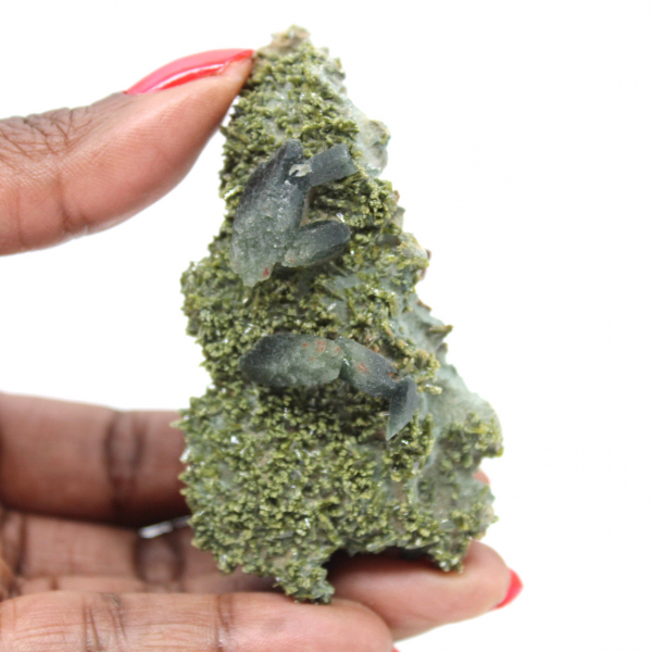 Imilchil epidote on clear matrix