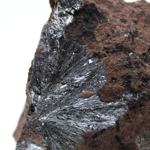 Pyrolusite, Miniature Crystals on Matrix